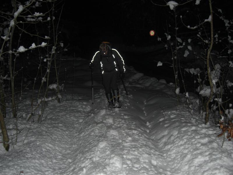 Schneeschuhtour Aueralm