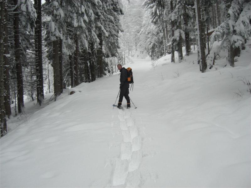 Schneeschuhtour Aueralm