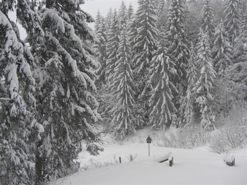 Schneeschuhtour Aueralm